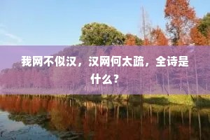 我网不似汉，汉网何太疏，全诗是什么？