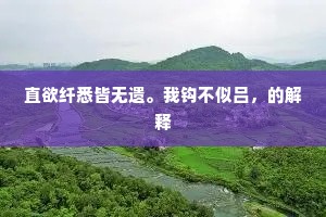 直欲纤悉皆无遗。我钩不似吕，的解释