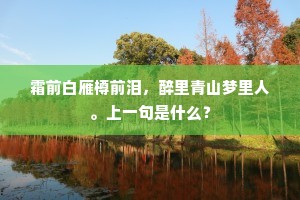 霜前白雁樽前泪，醉里青山梦里人。上一句是什么？