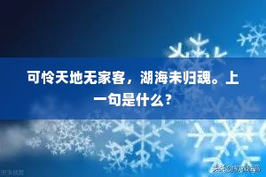 可怜天地无家客,湖海未归魂。上一句是什么? 可怜天地无家客,湖海未归魂。上一句是什么?