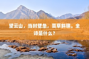 望云山，当时壁垒，蔓草斜曛。全诗是什么？