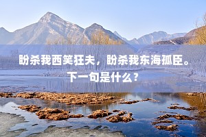 盼杀我西笑狂夫，盼杀我东海孤臣。下一句是什么？