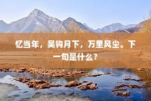 忆当年，吴钩月下，万里风尘。下一句是什么？