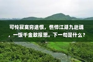 可怜寂寞穷途恨，憔悴江湖九逝魂，一饭千金敢报恩。下一句是什么？