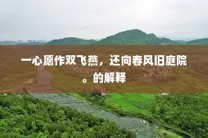 一心愿作双飞燕，还向春风旧庭院。的解释