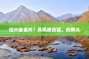 佳兴幽谁共？真机趣自圆。的释义