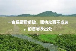 一夜绿荷霜剪破，赚他秋雨不成珠。的意思及出处