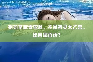 相如莫献青鸾赋，不是祈灵太乙宫。出自哪首诗？