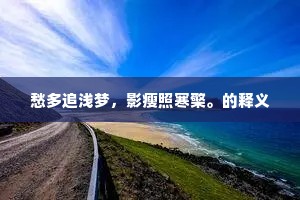 愁多追浅梦，影瘦照寒檠。的释义