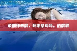 驳翻殊未解，啁哳桀鸡鸣。的解释