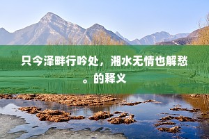 只今泽畔行吟处，湘水无情也解愁。的释义