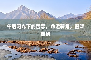 午后阳光下的哲思，命运转角，温暖如初