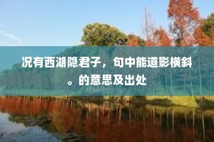 况有西湖隐君子，句中能道影横斜。的意思及出处