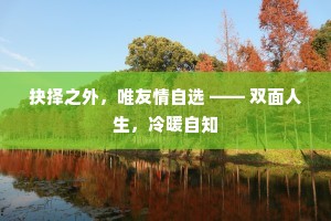 抉择之外，唯友情自选 —— 双面人生，冷暖自知