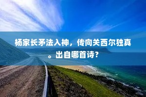 杨家长矛法入神，传向关西尔独真。出自哪首诗？