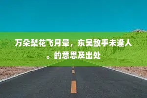 万朵梨花飞月晕，东吴敌手未逢人。的意思及出处