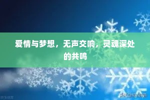 爱情与梦想，无声交响，灵魂深处的共鸣