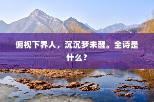 俯视下界人，沉沉梦未醒。全诗是什么？