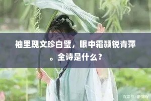 袖里瑰文珍白璧，眼中霜颍锐青萍。全诗是什么？