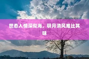 世态人情深似海，明月清风难比其味