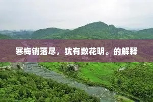 寒梅销落尽，犹有数花明。的解释