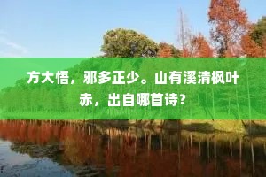 方大悟，邪多正少。山有溪清枫叶赤，出自哪首诗？