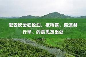 怨去吹箫狂说剑，板桥霜，莫道君行早。的意思及出处
