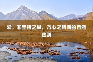 爱，非坚持之果，乃心之所向的自然法则