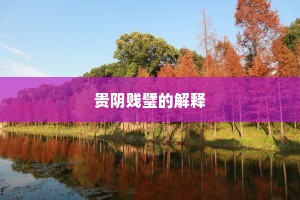 贵阴贱璧的解释