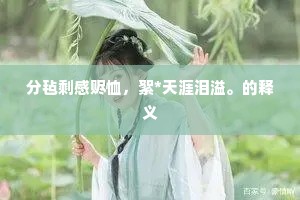 分毡剩感赆恤，絮*天涯泪溢。的释义