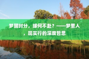 梦醒时分，缘何不赴？——梦里人，现实行的深度哲思