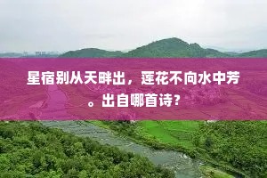 星宿别从天畔出，莲花不向水中芳。出自哪首诗？