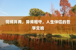 同频共舞，异频相守，人生伴侣的哲学交响