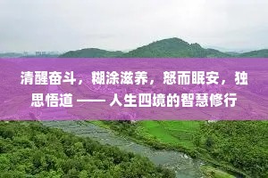 清醒奋斗，糊涂滋养，怒而眠安，独思悟道 —— 人生四境的智慧修行