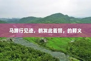 马蹄行见迹，鹤发此羞簪。的释义