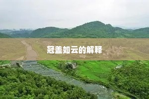 冠盖如云的解释
