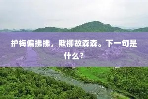 护梅偏拂拂，欺柳故森森。下一句是什么？