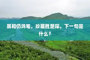 属和仍鸿笔，珍藏胜楚琛。下一句是什么？