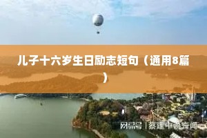 儿子十六岁生日励志短句（通用8篇）