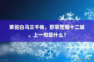 紫驼白马三千帐，野草荒烟十二城。上一句是什么？
