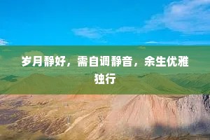 岁月静好，需自调静音，余生优雅独行