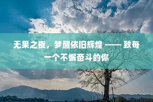 无果之夜，梦醒依旧辉煌 —— 致每一个不懈奋斗的你