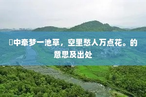 閒中牵梦一池草，空里愁人万点花。的意思及出处