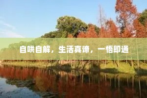 自哄自解，生活真谛，一悟即通