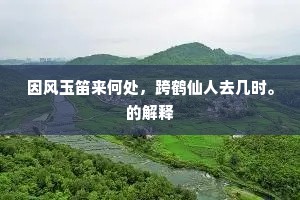 因风玉笛来何处，跨鹤仙人去几时。的解释