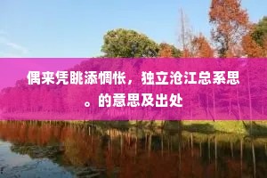偶来凭眺添惆怅，独立沧江总系思。的意思及出处