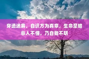 穿透迷雾，自识方为真章，生命至暗非人不懂，乃自我不明