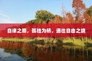 自律之巅，孤独为桥，通往自由之境