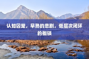 认知囚笼，早熟的悲剧，低层次闭环的枷锁