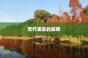 贯朽粟陈的解释